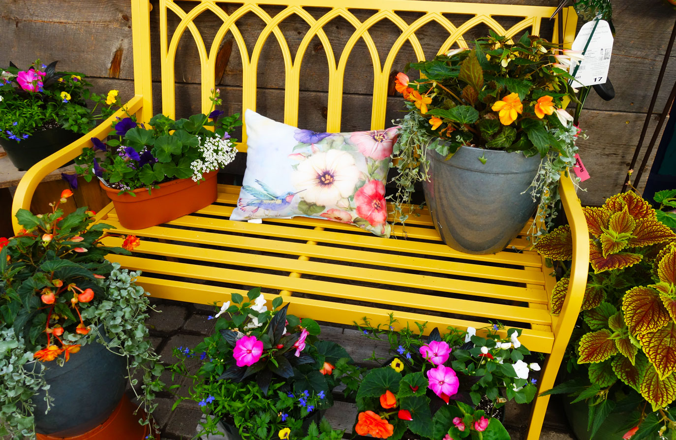 Flower and Gift shops for decor gifts and dishware